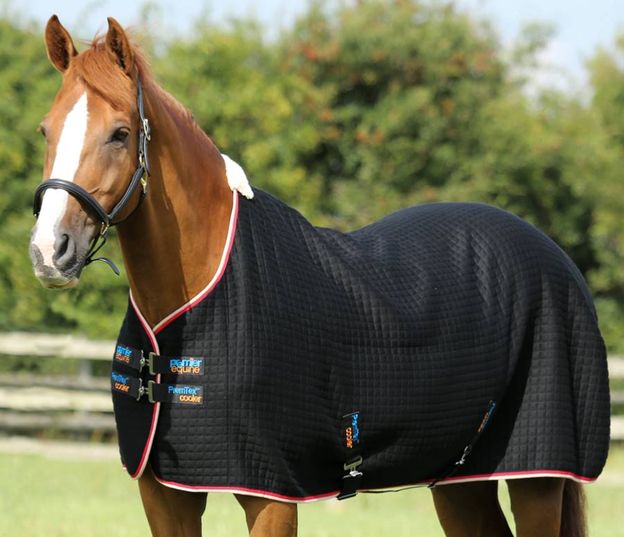 PremTex Horse Cooler Rug NVS Equine Attire
