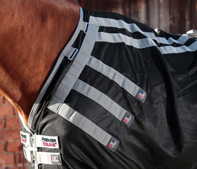 MagniTeque Horse Rug with Neck Cover NVS Equine Attire